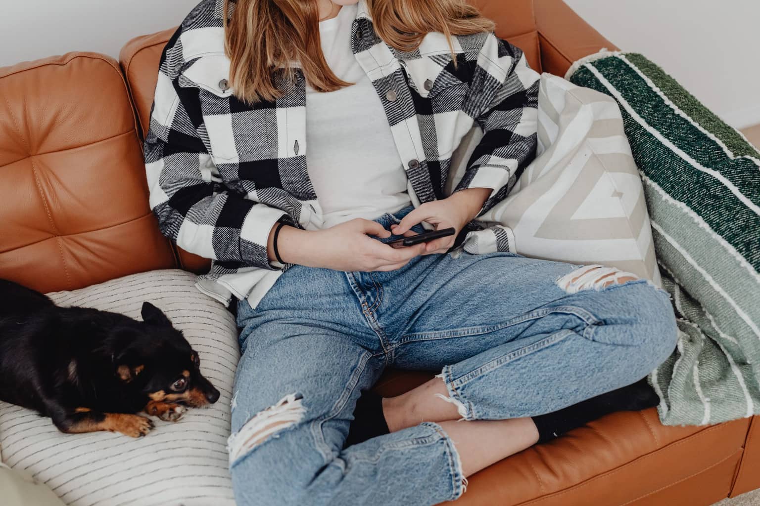 A dog owner on the sofa using her phone with her small dog beside her
