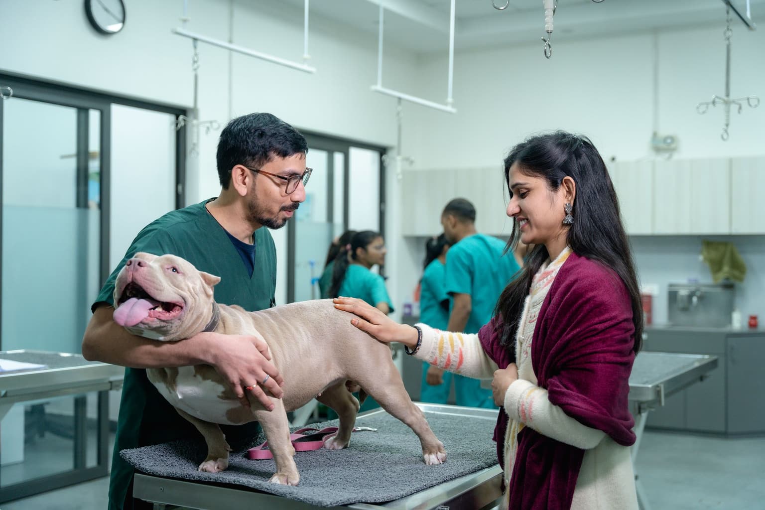 How to reduce phone calls at a vet clinic: a vet examining a dog with its owner in a busy clinic